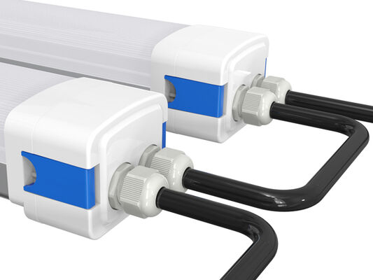 डी5 एलईडी नमी प्रतिरोधी प्रकाश के साथ डीआईपी स्विच करने योग्य शक्ति और 3CCT 3/5*1.5/2.5mm2 वायरिंग-थ्रू वैकल्पिक