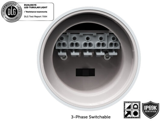 1.5 मीटर 60W IP69K IK10 TB7 LED ट्यूबुलर लाइट, रासायनिक सुविधाओं के लिए, 3 या 5 वायर-थ्रू लिंक करने योग्य और DIP स्विच करने योग्य पावर/3CCT/3-फेज बदलने के साथ
