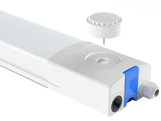 DUALRAYS यूरोप से एलईडी हाईबे की शिपमेंट सीधे नीदरलैंड से 3 व्यावसायिक दिनों के भीतर स्थानीय बिक्री के बाद सेवा के साथ