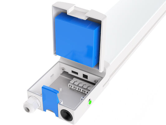 DUALRAYS यूरोप से एलईडी हाईबे की शिपमेंट सीधे नीदरलैंड से 3 व्यावसायिक दिनों के भीतर स्थानीय बिक्री के बाद सेवा के साथ