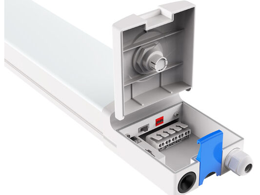 DUALRAYS यूरोप से एलईडी हाईबे की शिपमेंट सीधे नीदरलैंड से 3 व्यावसायिक दिनों के भीतर स्थानीय बिक्री के बाद सेवा के साथ