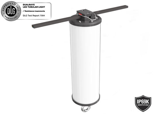 Dualrays D2 Series 50W आउटडोर और इंडोर LED ट्राई प्रूफ LED बैटन लाइट 160LMW 5ft लॉन्ग