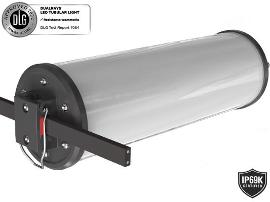 Dualrays D2 Series 50W आउटडोर और इंडोर LED ट्राई प्रूफ LED बैटन लाइट 160LMW 5ft लॉन्ग