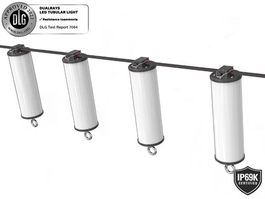 Dualrays D2 Series 50W आउटडोर और इंडोर LED ट्राई प्रूफ LED बैटन लाइट 160LMW 5ft लॉन्ग