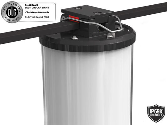 Dualrays D2 Series 50W आउटडोर और इंडोर LED ट्राई प्रूफ LED बैटन लाइट 160LMW 5ft लॉन्ग