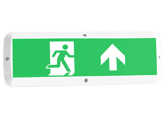 आपातकालीन कार्य और गति सेंसर IP65 के साथ 8W बल्क हेड एलईडी पोर्च लाइट