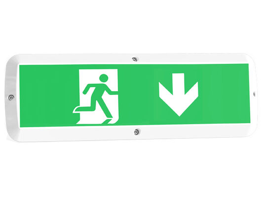 आपातकालीन कार्य और गति सेंसर IP65 के साथ 8W बल्क हेड एलईडी पोर्च लाइट