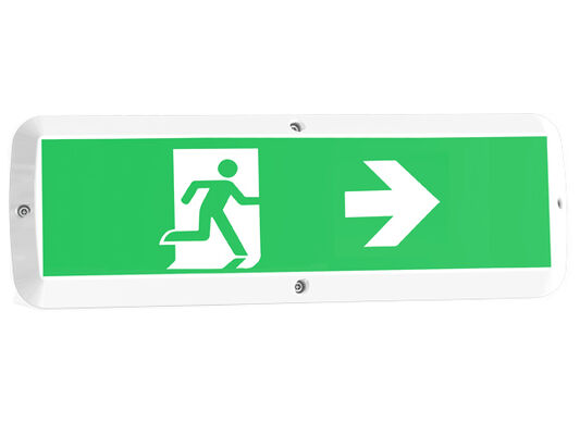 आपातकालीन कार्य और गति सेंसर IP65 के साथ 8W बल्क हेड एलईडी पोर्च लाइट