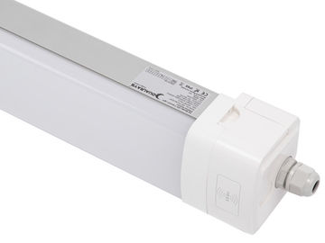 Dualrays D5 Series 50w 5ft Ip66 Ik10 ट्राई प्रूफ एलईडी लाइट 160lmw 5 साल की वारंटी के साथ 50000hrs लॉन्ग लाइफ स्पैन