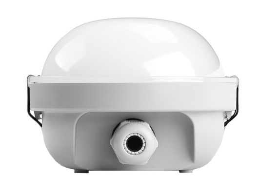 Dualrays D2.5 160LmW 30W 5ft एलईडी वाष्प प्रूफ लाइट सरफेस माउंटेड